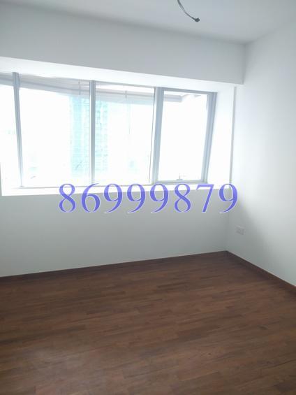 V On Shenton (D1), Apartment #158750842